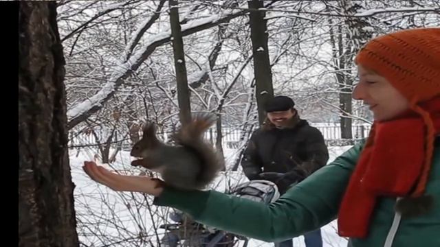 Иркутский парк смотреть онлайн