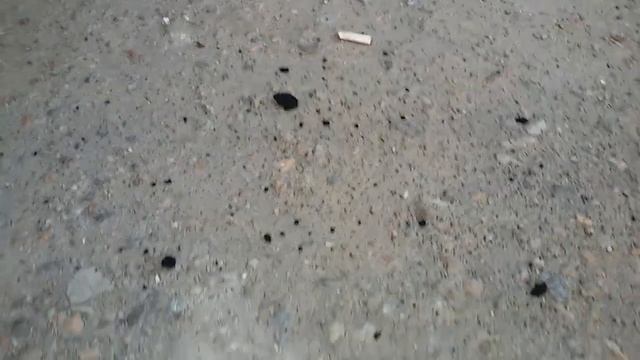 Машина после такси смотреть онлайн