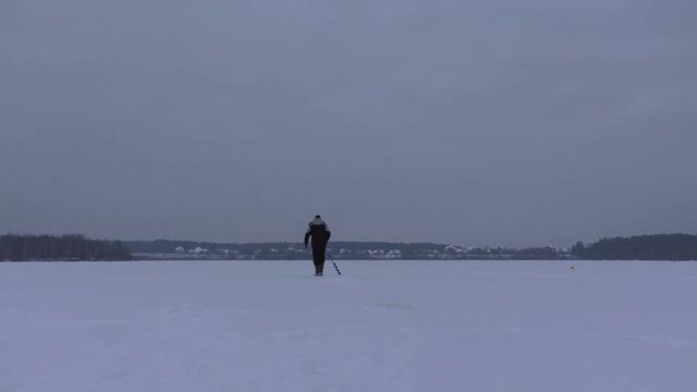 Судак на живца. Зимняя Рыбалка На Жерлицы. смотреть онлайн