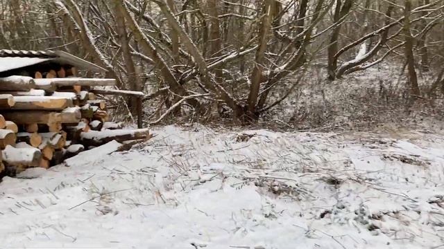 Купил Домик в деревне !Строим новый! Снесли один сарай .Фишка участка и интересная находка в сарае смотреть онлайн