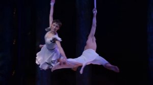 Воздушный гимнаст (Цирк Дю солей)