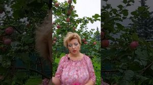 Мак выращивать можно? Часть 2.