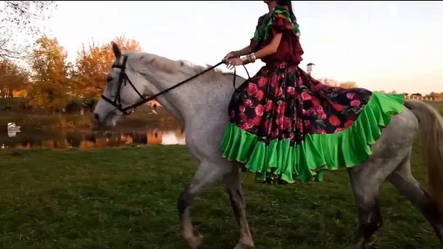 Птица Ворон Казачья песня смотреть онлайн