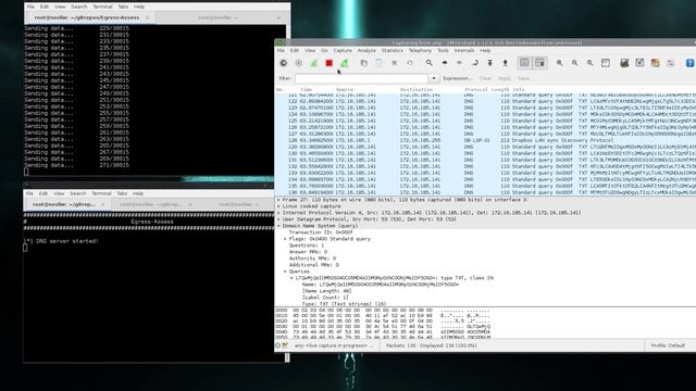 Egress-Assess Demo смотреть онлайн