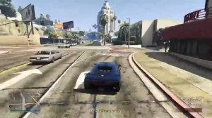 Matthew daisy destruction