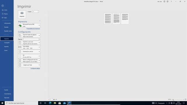 WORD 2019: Vista Previa/Preliminar ¿Dónde se Esconden? смотреть онлайн