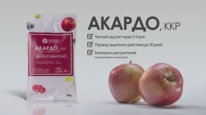 Акардо, ККР – против клещей, его личинок и летающих вредителей