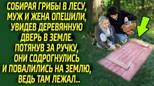Открыв тайник в лесу, грибники ужаснулись, ведь там оказался...
