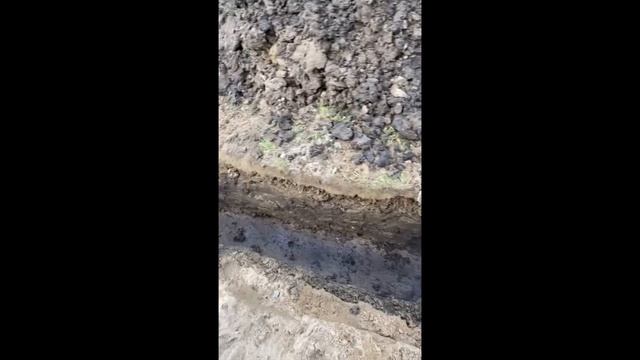 Начали укладку и отсыпку трубы смотреть онлайн