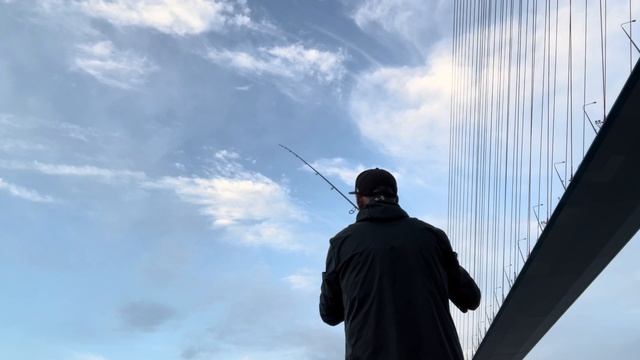 Осенний терпуг