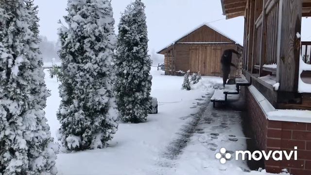 Мокрий сніг ломає Туї дерева смотреть онлайн