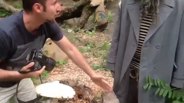 это мой гриб я его ем! (полностью)