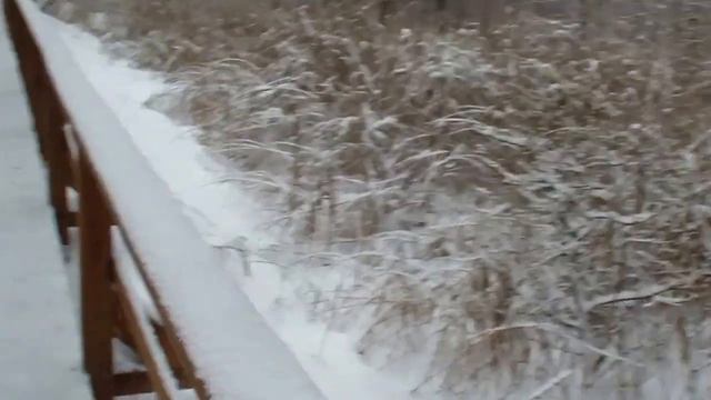 Экологический рай в Москве смотреть онлайн