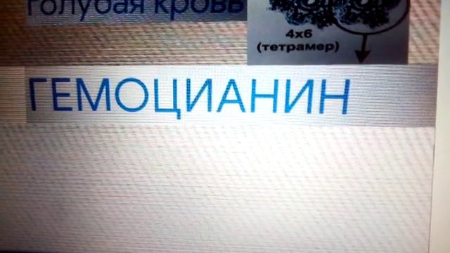 медицына,от куда ето слово? смотреть онлайн