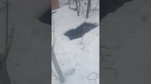 ПОИСКИ ЗАВЕРШЕНЫ!!! нашли базу того кто разворотил землянку!