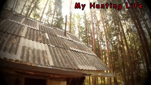 Заимка в тайге смотреть онлайн