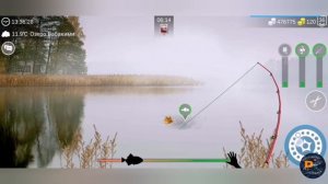 Рыба капля▶My fishing world▶ мой рыболовный мир▶где и на что ловить каплю!!!