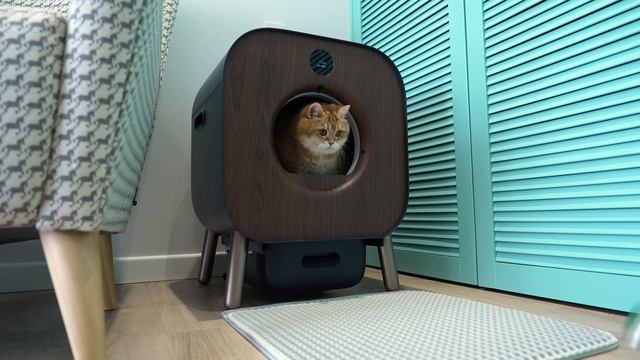 PAWBBY Self-cleaning Cat Litter Box - indispensable device смотреть онлайн