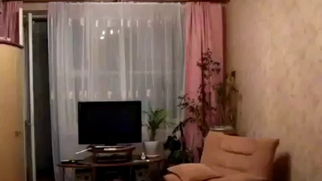 Коты ловят летучую мышь по квартире Лучшие приколы с котами и кошками смотреть онлайн