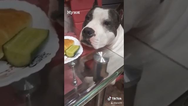 Е-еда смотреть онлайн
