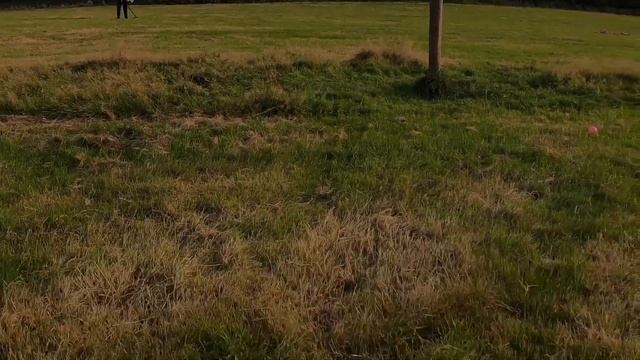 Metal Detecting UK With My Nephew And The Garrett Ace Apex. смотреть онлайн