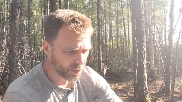 Сказка "Бедуин и араб" (арабская) смотреть онлайн