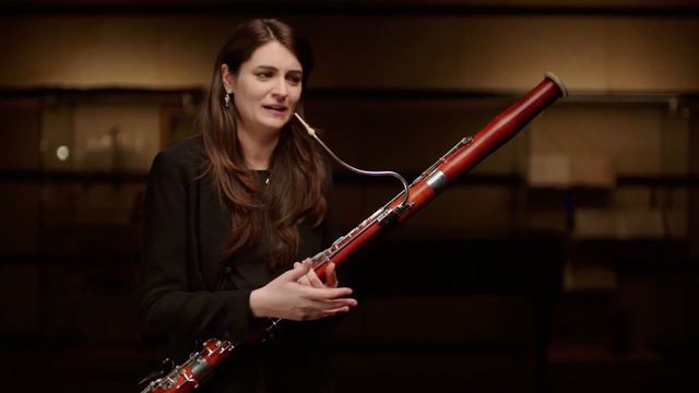 Wiener Philharmoniker bassoon player Sophie Dervaux on playing Beethoven’s symphonies смотреть онлайн