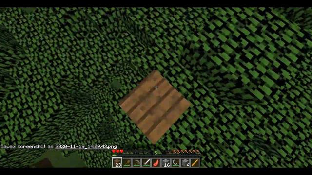 Minecraft TAS Any% Seed 