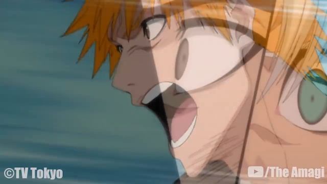 The Life Of Ichigo Kurosaki (Bleach)
