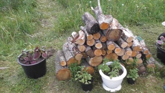 vlog остаемся с ночевкой/маленькие дачные изменения смотреть онлайн