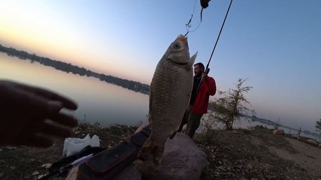 Закрытие сезона рыбалки 2020, 500 кг карася, царская уха, отличный клев и супер новое место. смотреть онлайн
