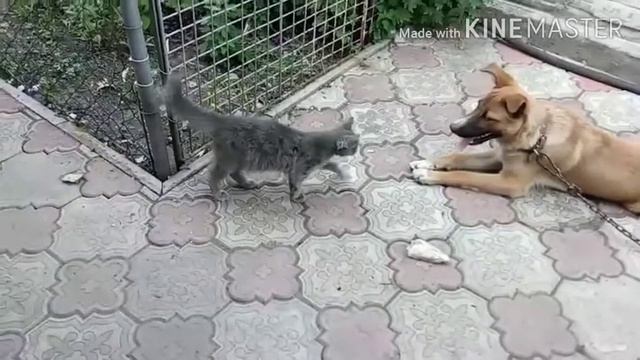 ИГРА ДРУЗЕЙ смотреть онлайн