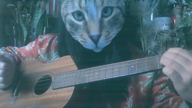 W a k e U p (LOFI ukulele) смотреть онлайн