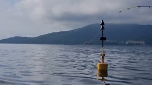 Владивосток рыбалка троллинг симы и ловля камбалы с катера рядом с городом. #БлогВладивосток