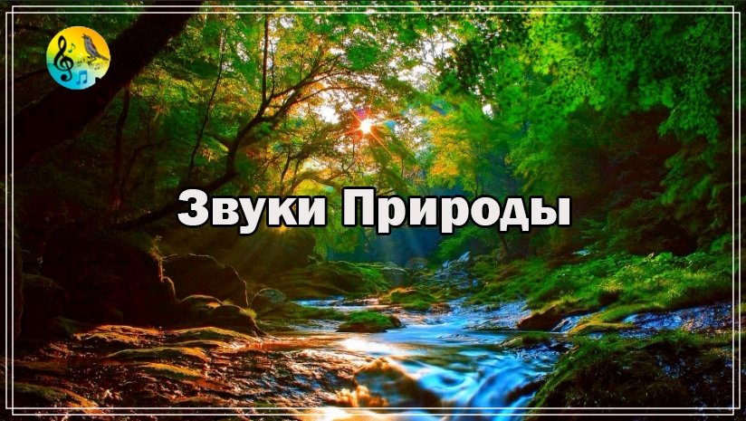 Звуки Природы ? Успокаивающий шум ручья в горах. белый шум ? Для Успокоения Ума смотреть онлайн