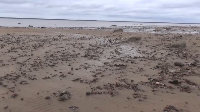 Делай добро и тебе воздастся. Коп на водохранилище. смотреть онлайн