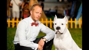 Аргентинский дог Характеристика породы