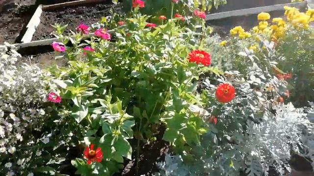 Наводим порядок на даче. смотреть онлайн