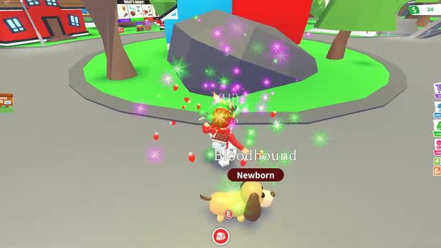 Bloodhound Adopt Me #roblox