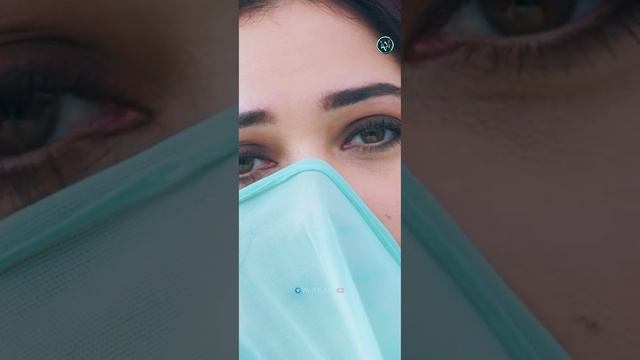 Cheeni Chillaallee Song Full Screen Whatsapp Status | Sketch | Wolf Edits смотреть онлайн