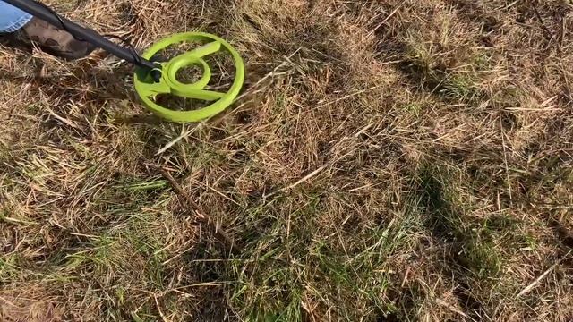 Part 2: Customer Reviews by Carol Green - Hazlewolke Jungler1031 Metal Detector смотреть онлайн