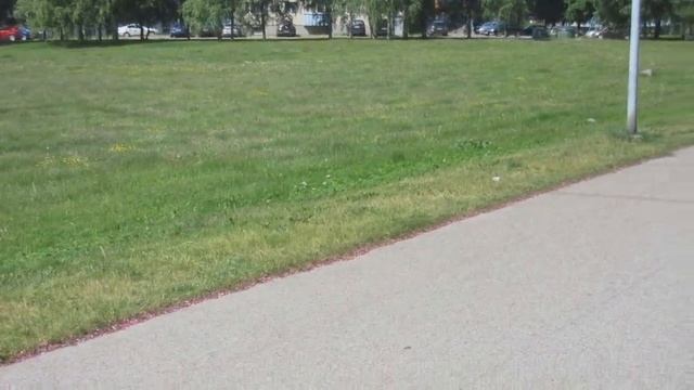 Гуляю, беру вас с собой! Маникюр. Дикие яблони Недзвецкого. смотреть онлайн