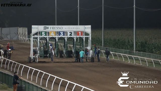 🔥GRAN MATURITY FRESNO HIPODROMO 🍅 смотреть онлайн