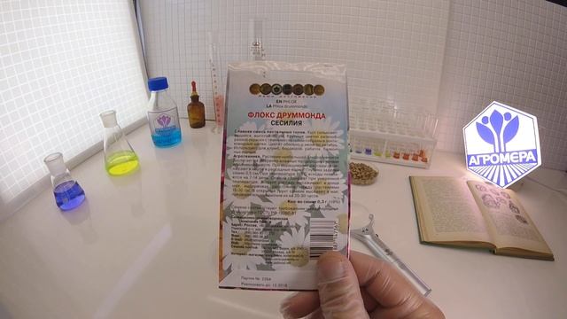 Флокс Друммонда Сесилия. Поиск смотреть онлайн