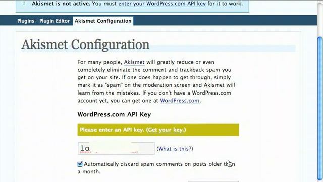 WordPress Training - Fighting Blog SPAM with Akismet смотреть онлайн
