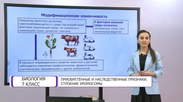 Биология. 7 класс. Приобретённые и наследственные признаки. Строение хромосомы /06.04.2021/ смотреть онлайн