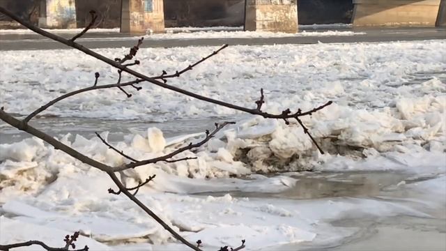 Maumee River Conditions Update 3/9/2019 смотреть онлайн