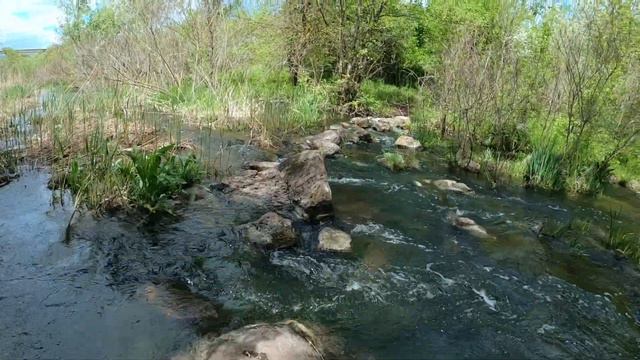 Поход вдоль Южного Буга. Скалы. От Мегии до Южноукраинска. День 2 смотреть онлайн