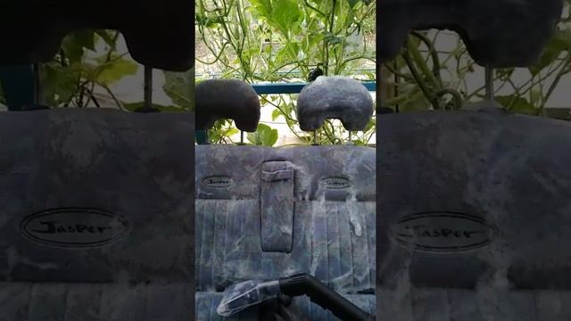 Химчистка салона авто с помощью средства Extractor Shampoo Plus от компании PRO BRITE смотреть онлайн