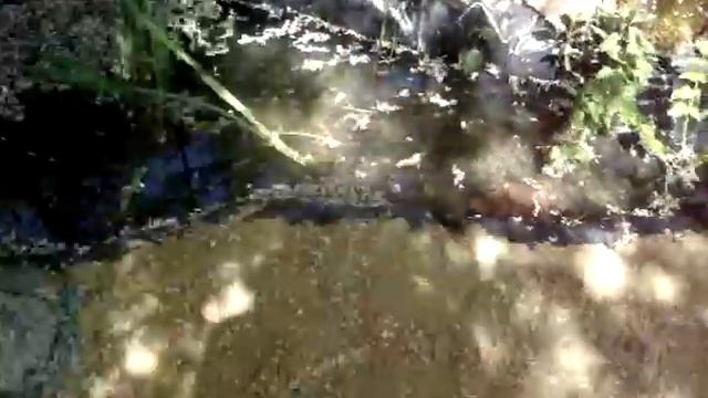 Мини пруд для жабок и рыбок смотреть онлайн